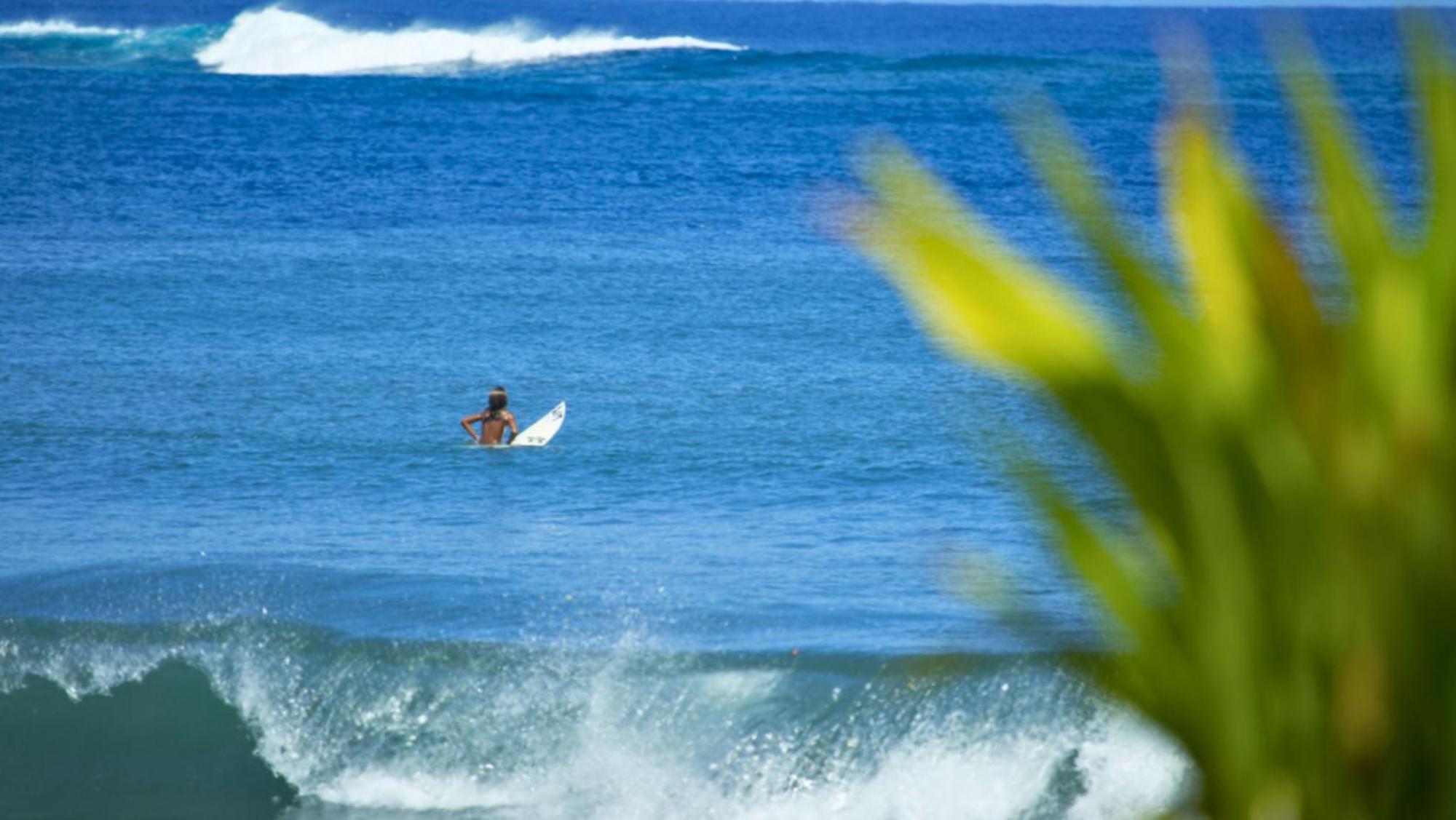 Tahiti - Bungalow Taharuu Surf Piti Villa Papara Buitenkant foto