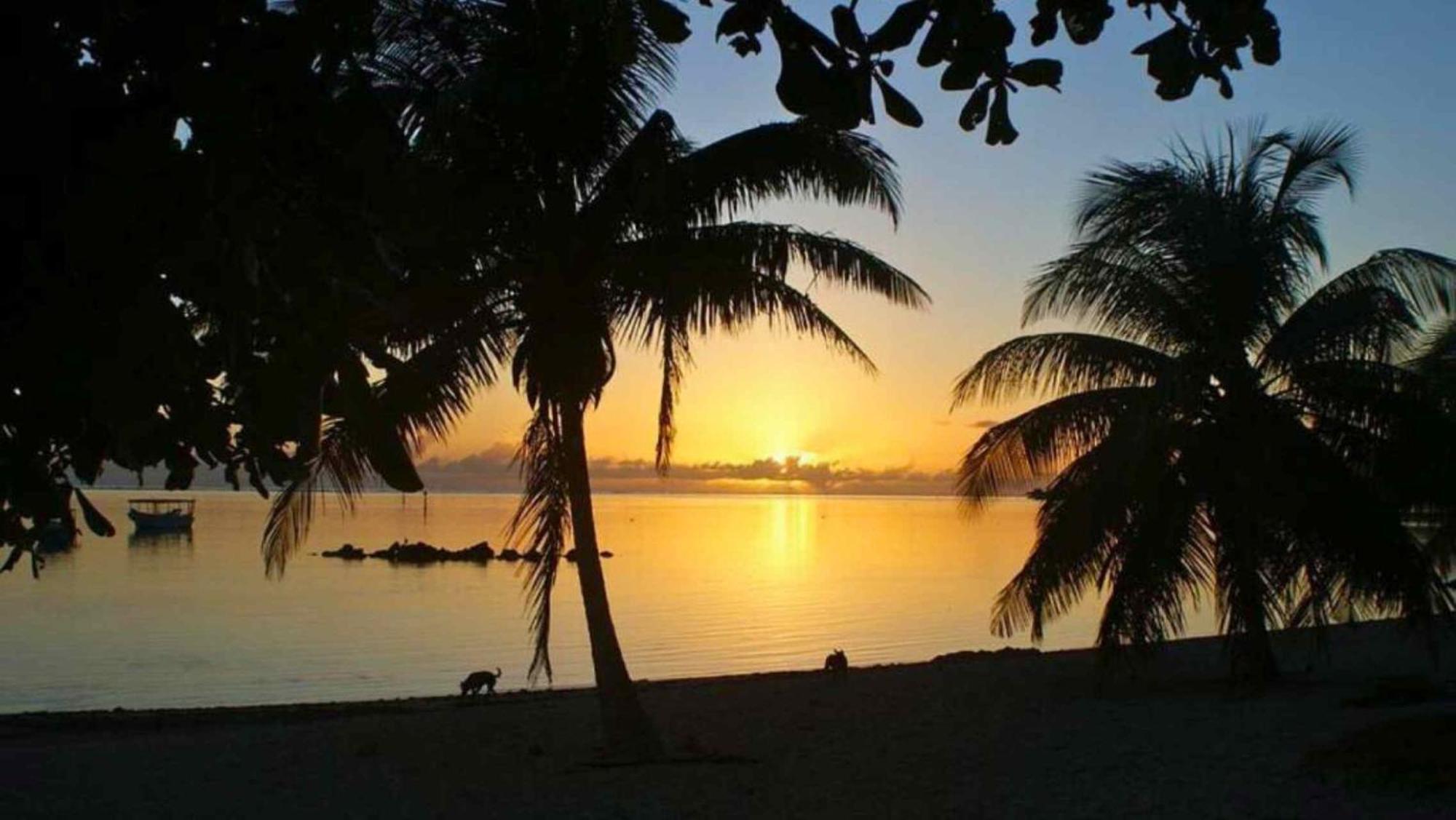 Tahiti - Bungalow Taharuu Surf Piti Villa Papara Buitenkant foto